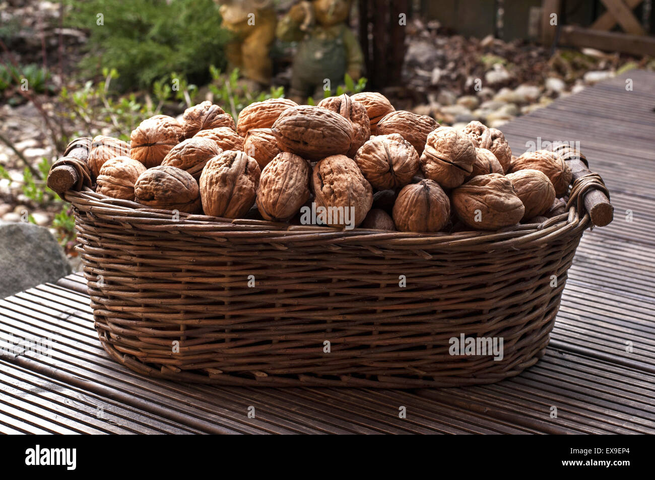 Walnüsse in einem braunen Korb Stockfoto