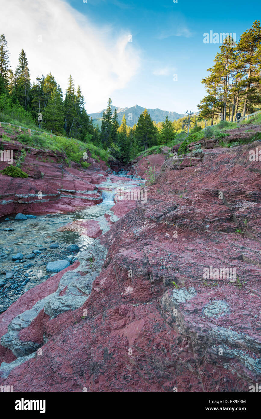 Red Rock Canyon in Waterton Lakes Nationalpark, Alberta, Kanada Stockfoto