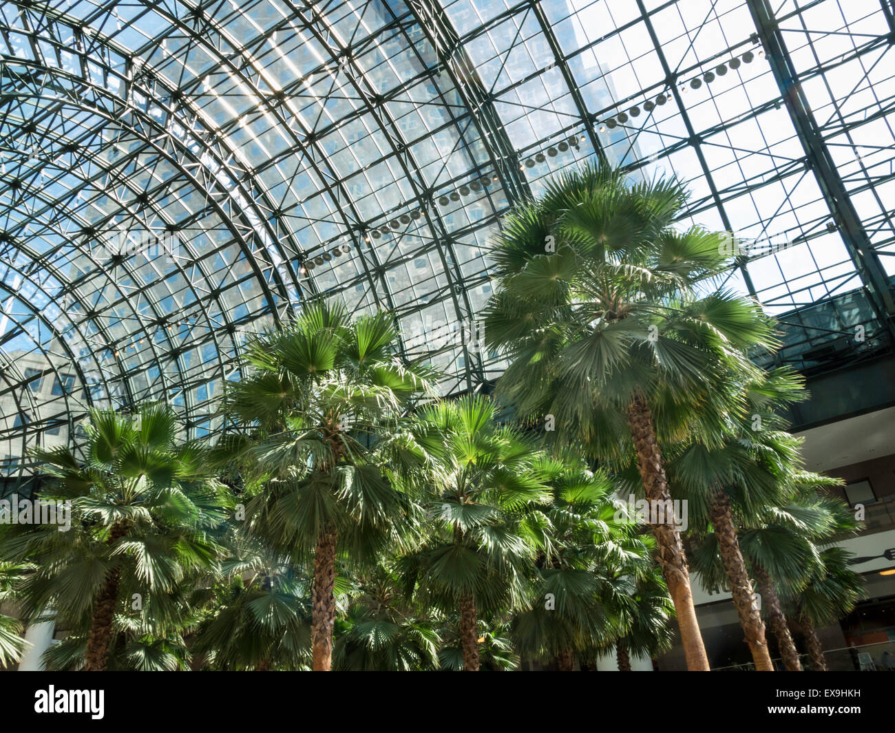 Das Wintergarten-Atrium, Brookfield Place in Battery Park City, NYC, USA Stockfoto