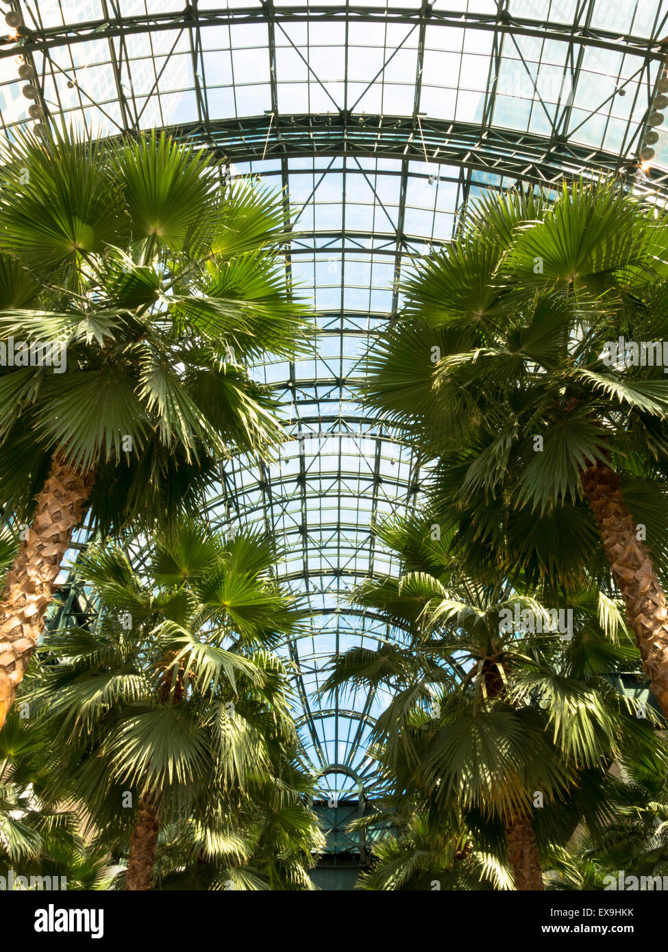 Der Wintergarten Atrium, Brookfield in Battery Park City, New York City, USA Stockfoto