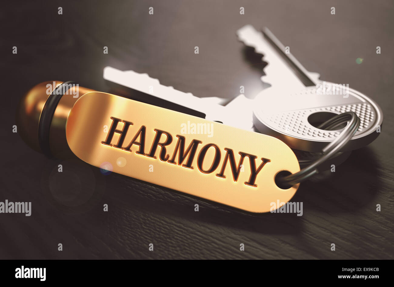 Tasten mit Wort Harmonie auf goldenen Etikett. Stockfoto