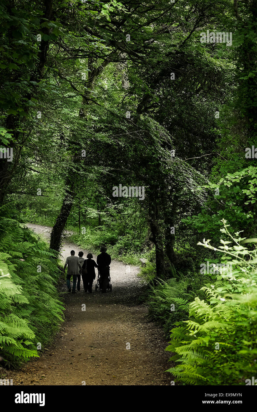 Touristen, die zu Fuß in die Lost Gardens of Heligan in Cornwall. Stockfoto