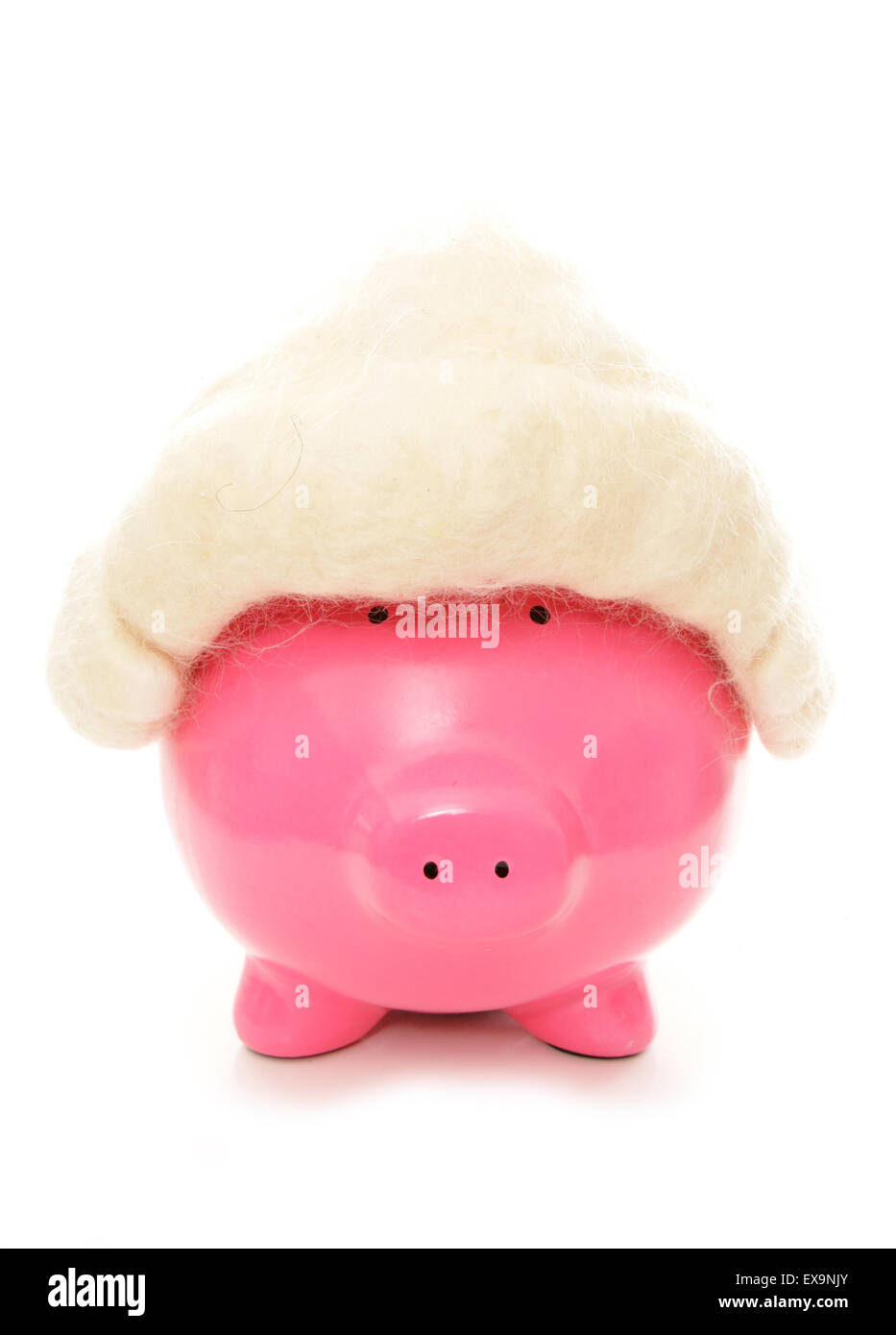 Piggy Bank tragen einen Richter Perücke Ausschnitt Stockfoto