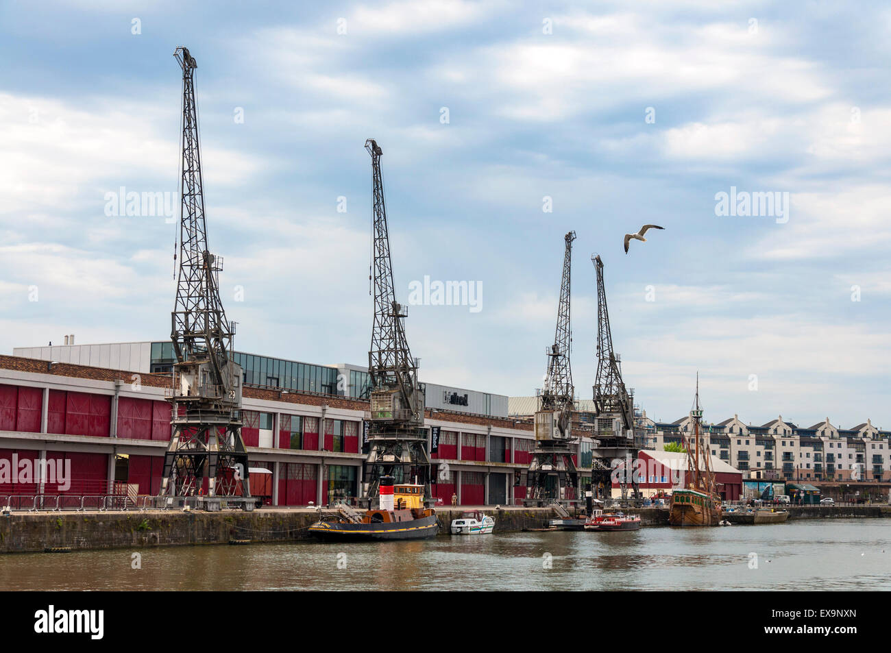 Bristol Hafen Mshed Krane Matthew Schiff UK Stockfoto