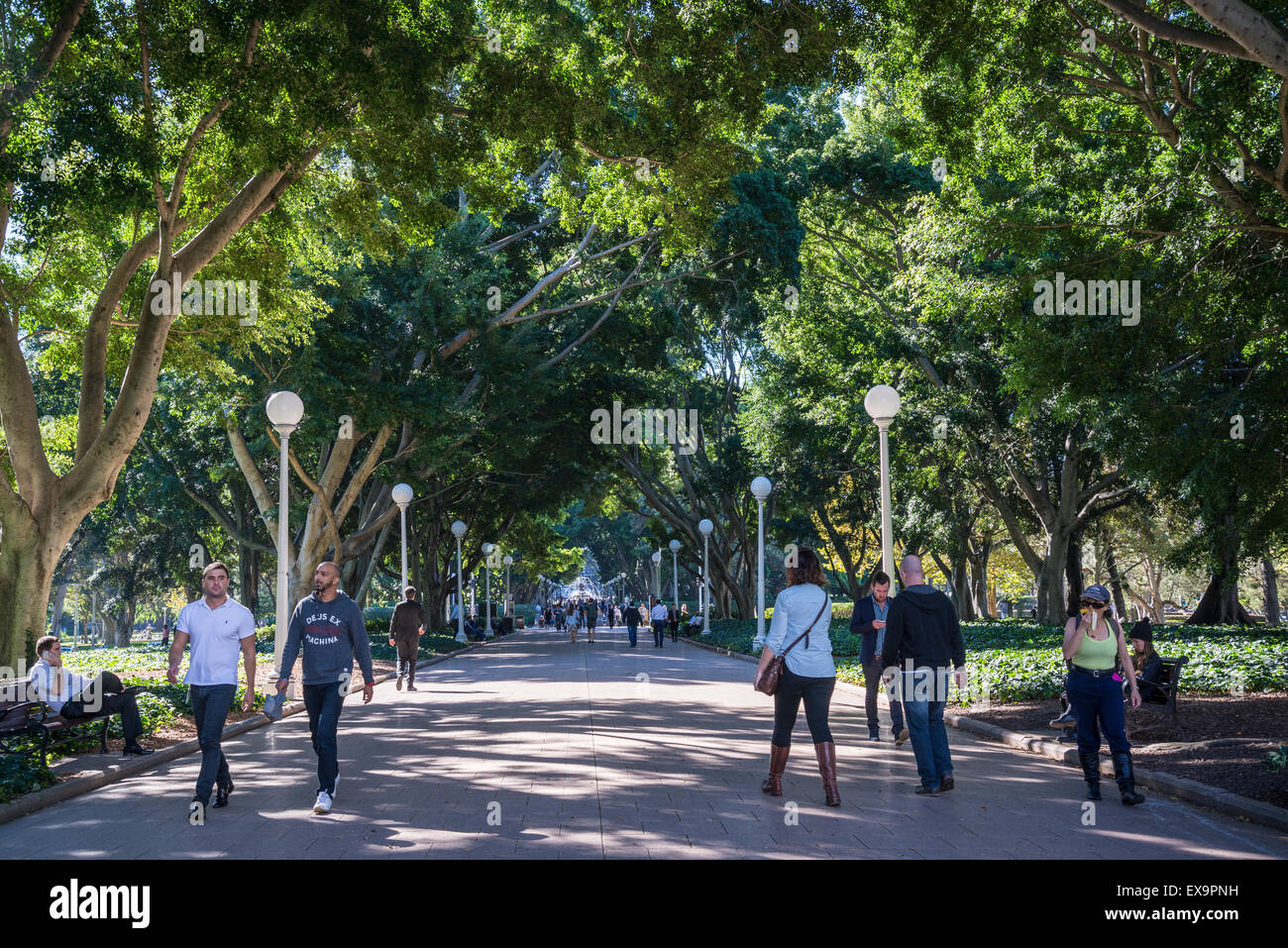 Hyde Park, Sydney, Australien Stockfoto