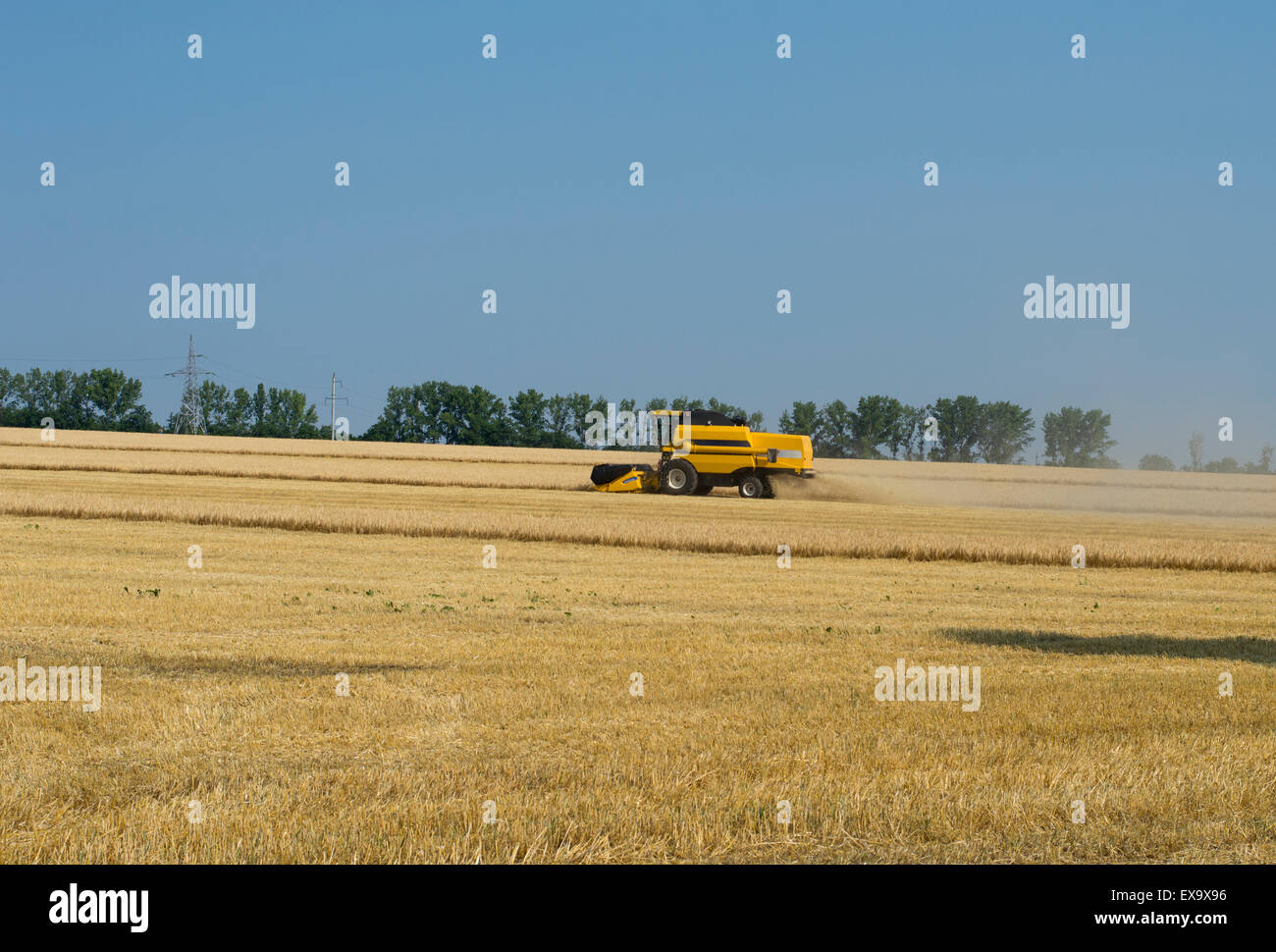 Reinigung von Weizen auf hügeligem Gelände Stockfoto