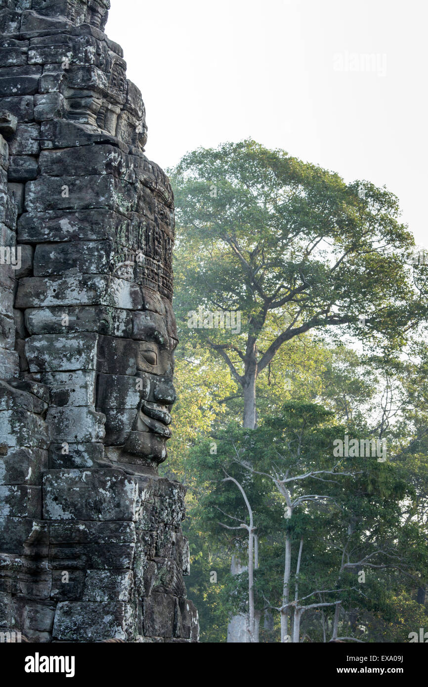 Asien, Kambodscha, Siem Reap, Steinschnitzereien aus dem 12. Jahrhundert buddhistischen König Jayavarman VII am Bayon Tempel in Angkor Wat Stockfoto