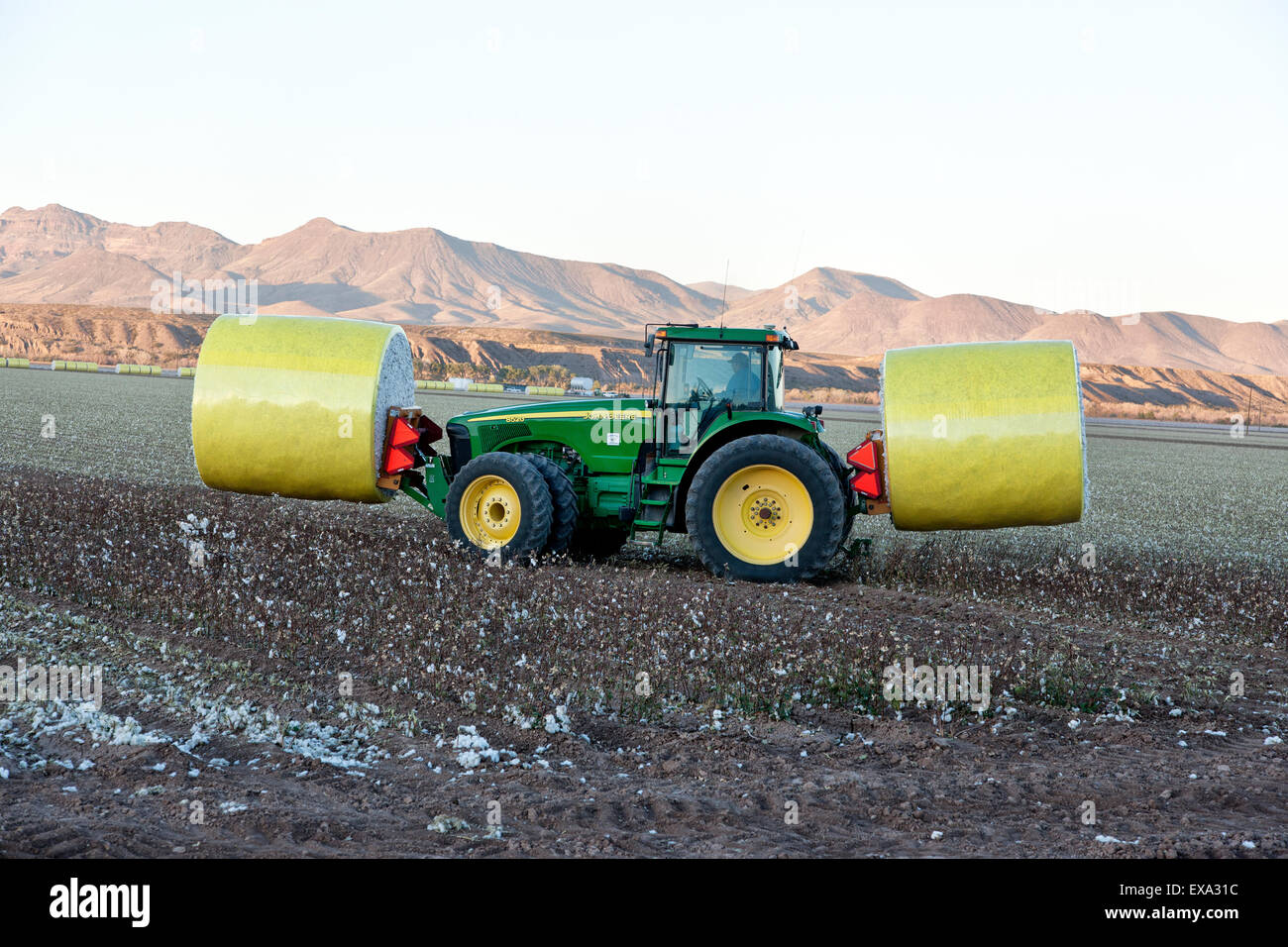 John Deere Traktor Transport geernteten Baumwolle Module. Stockfoto