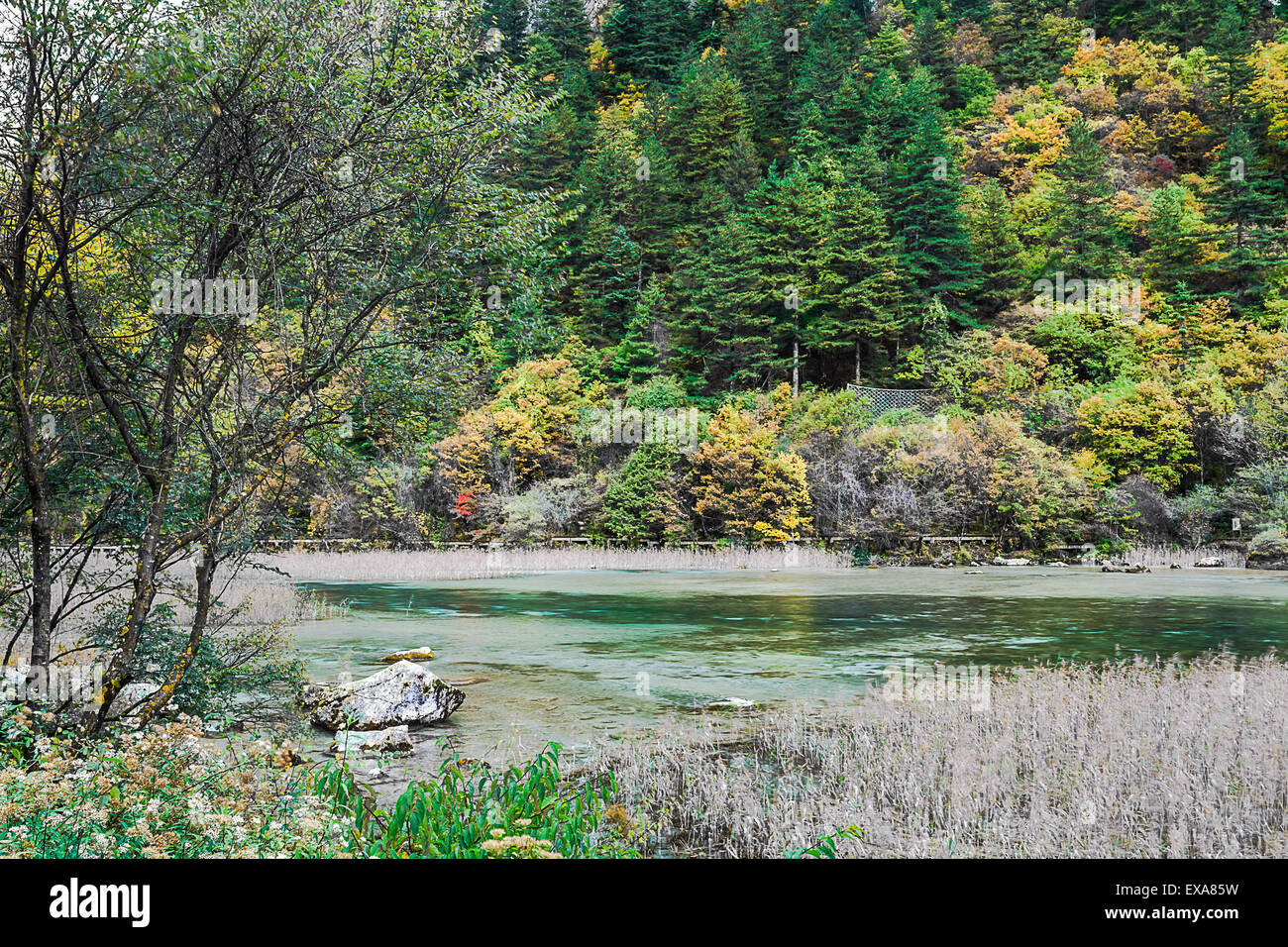 Juizhaigou Nationalpark in Sichuan, China Stockfoto