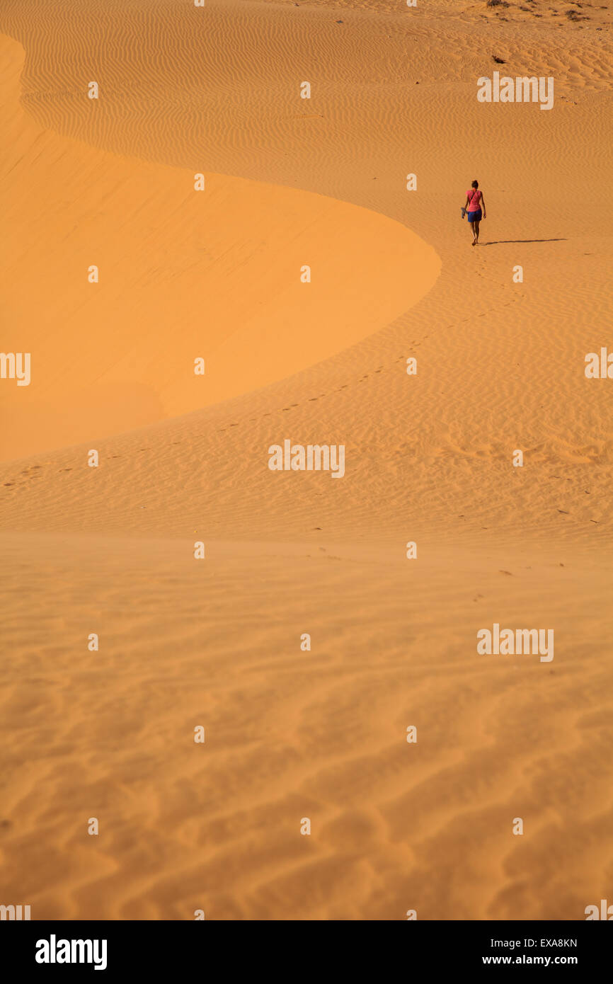 Traveller, eine oder mehrere Personen in der Wüste, Sand, Dünen Stockfoto