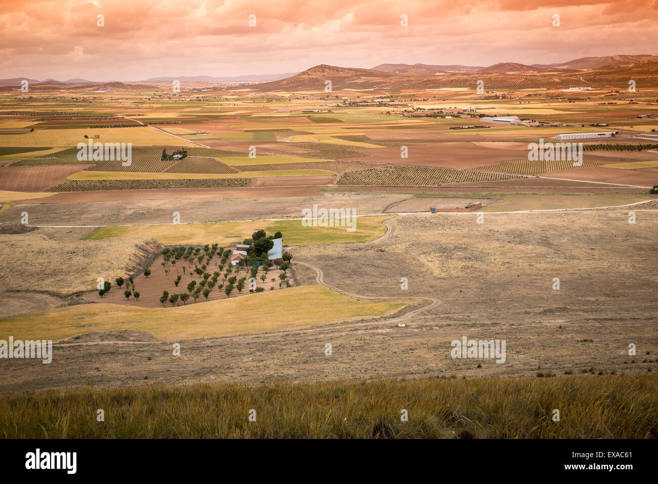 Ländliche Landschaft rund um Consuegra, Kastilien-La Mancha, Spanien Stockfoto