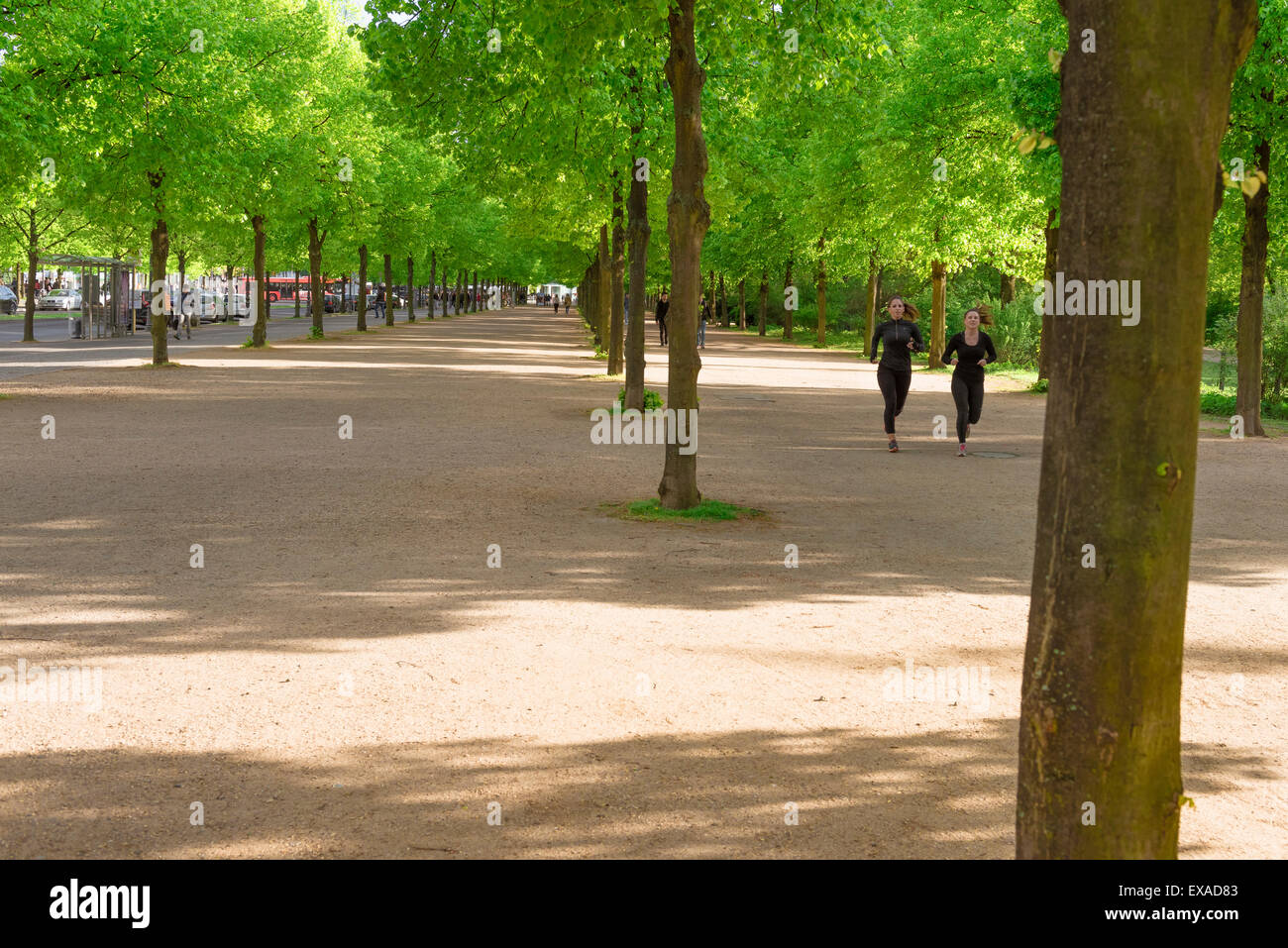 Berlin tiergarten Frühling, Blick auf junge Frauen beim Joggen im Tiergarten im Frühjahr, Berlin Deutschland. Stockfoto