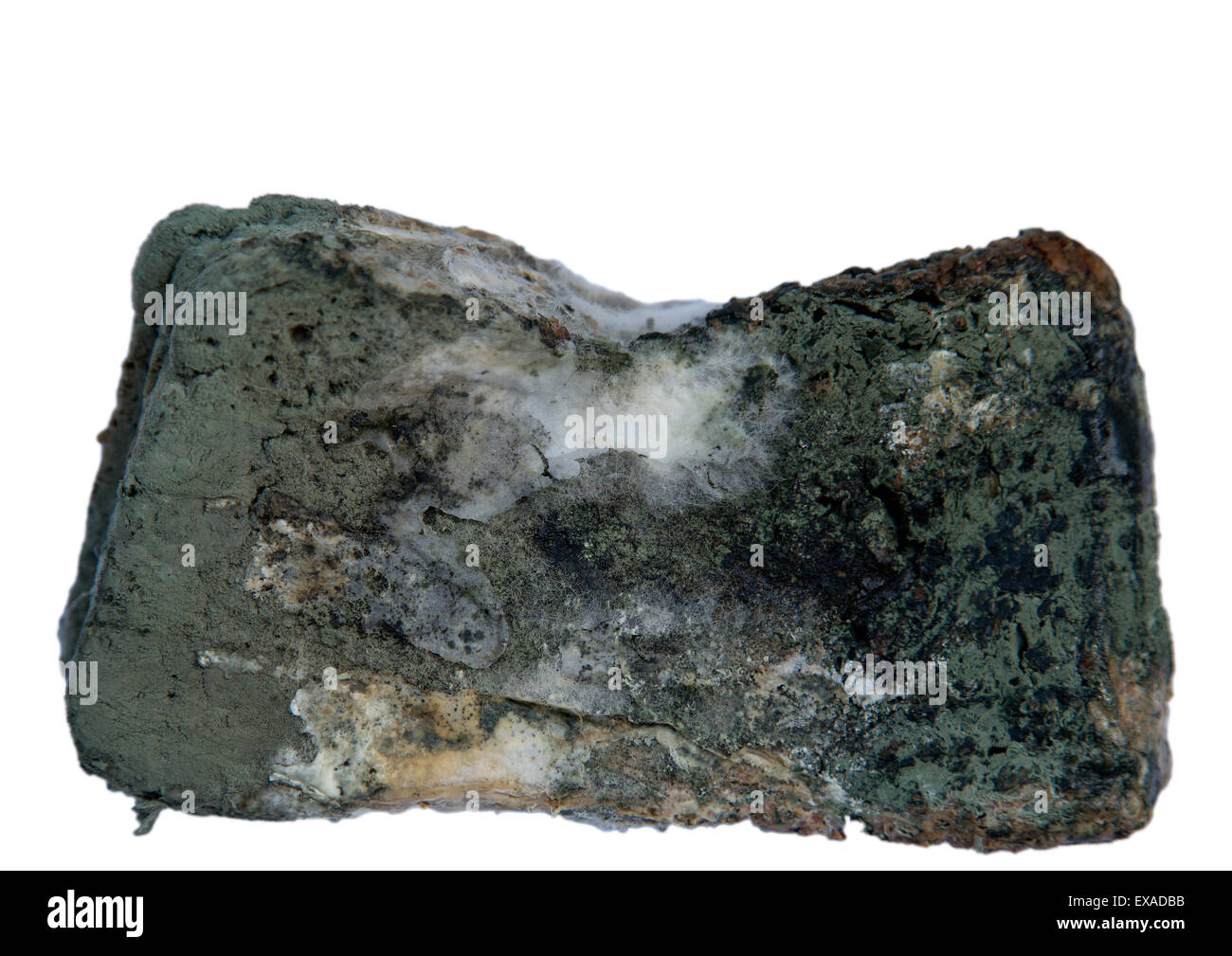 Schimmelige Schnittbrot Stockfoto