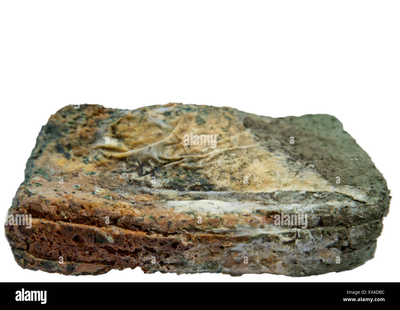 Schimmelige Schnittbrot Stockfoto