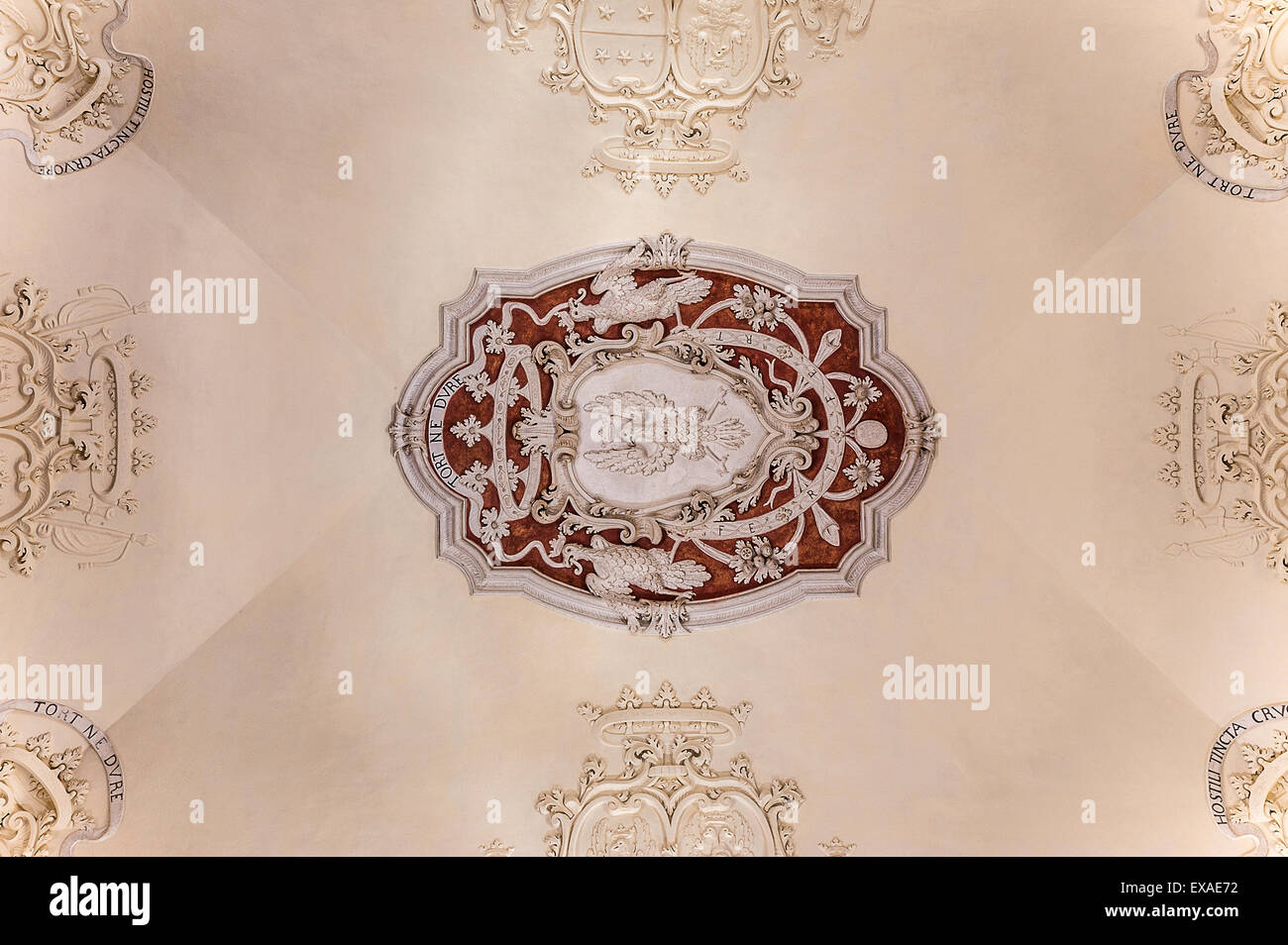 Italien-Piemont-Langhe und Roero World Heritage Magliano Alfieri Castle Hall von Wappen, die Decke Stockfoto