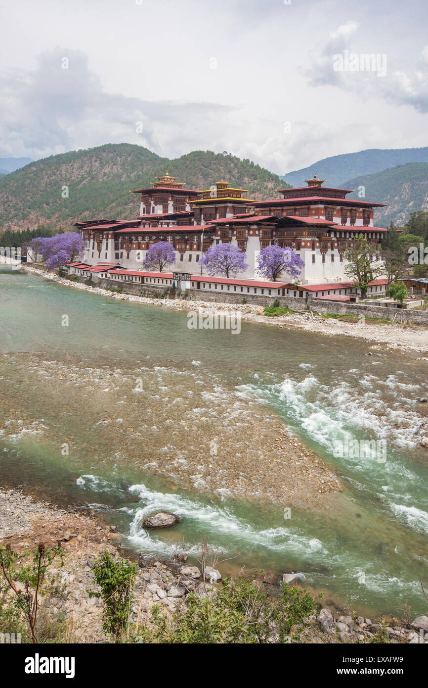 Der Punakha Dzong (Pungtang Dechen Photrang Dzong) ist das Verwaltungszentrum von Punakha Bezirk in Punakha, Bhutan, Asien Stockfoto