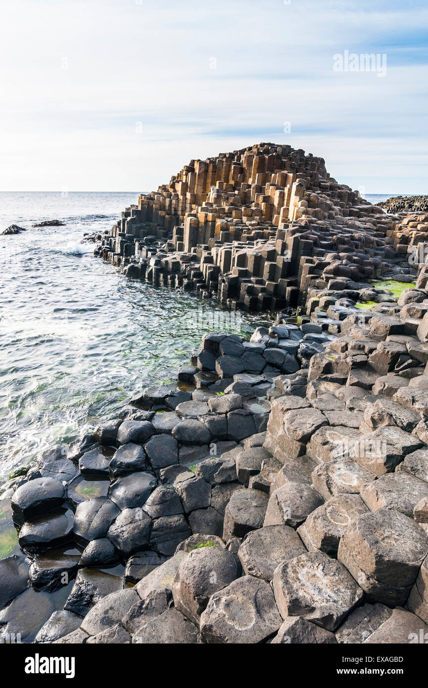Die Giants Causeway, UNESCO-Weltkulturerbe, County Antrim, Ulster, Nordirland, Vereinigtes Königreich, Europa Stockfoto