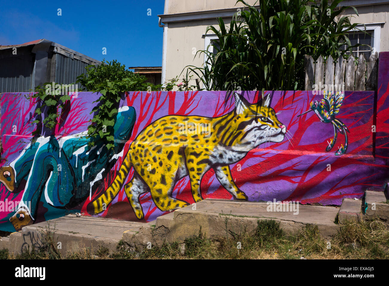 Wunderbare Graffiti, UNESCO-Weltkulturerbe, Valparaiso, Chile, Südamerika Stockfoto