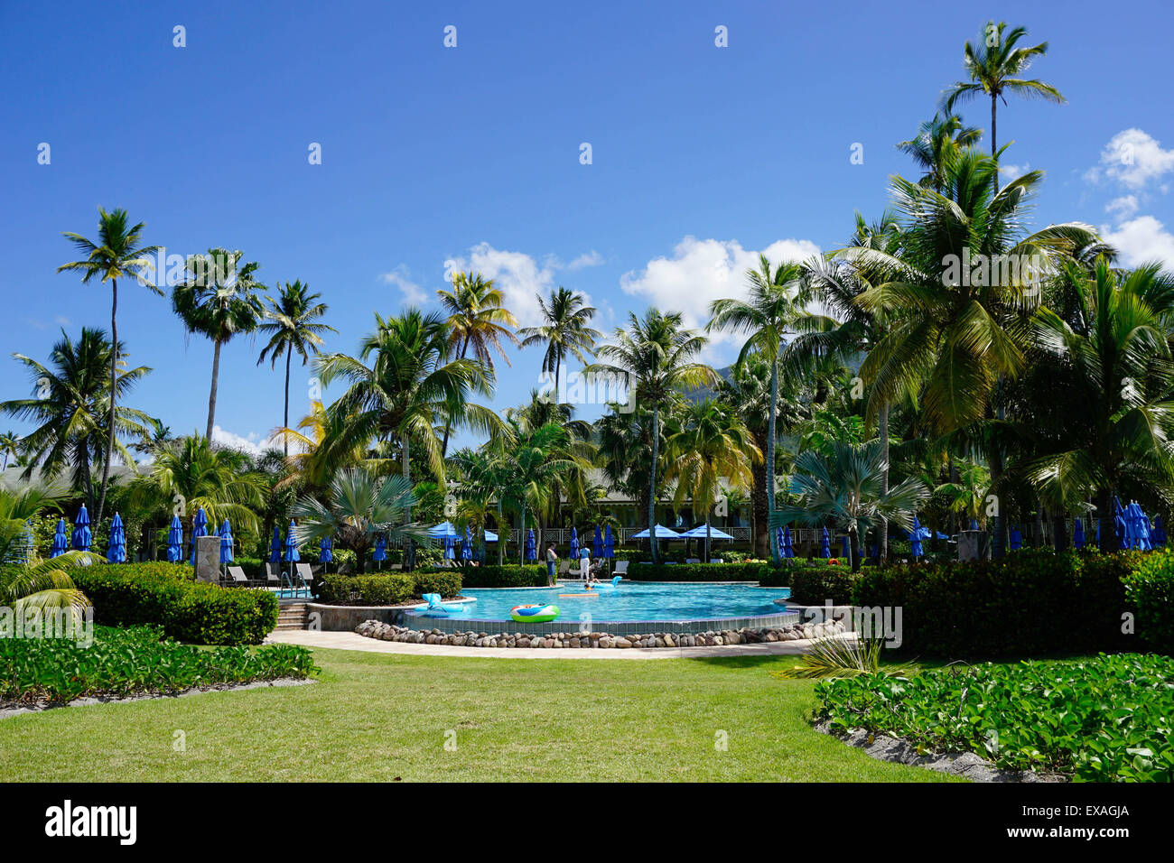 Nevis, St. Kitts und Nevis Leeward Islands, West Indies, Karibik, Mittelamerika Stockfoto