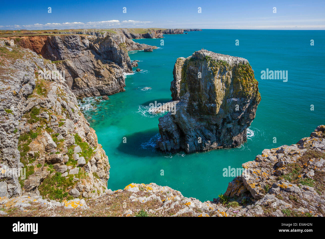 Stapeln Sie, Felsen, Castlemartin, Pembrokeshire Coast, Wales, Vereinigtes Königreich, Europa Stockfoto