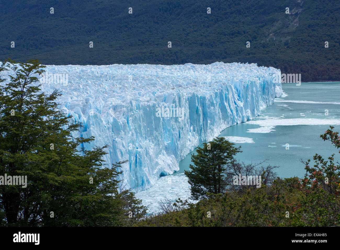 Nationalpark Los Glaciares, UNESCO World Heritage Site, Argentinien, Südamerika Stockfoto
