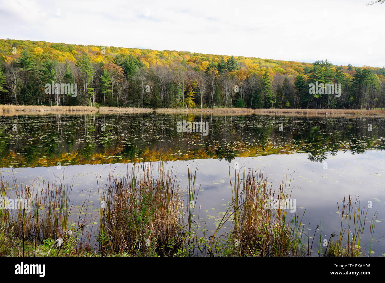 See in der Nähe von Great Barrington, The Berkshires, Massachusetts, New England, Vereinigte Staaten von Amerika, Nordamerika Stockfoto