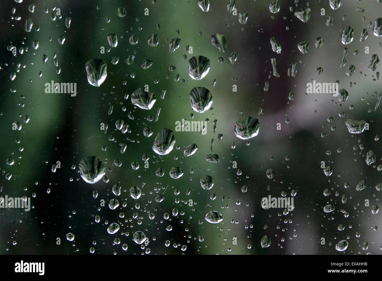 Regentropfen auf Fensterglas Stockfoto