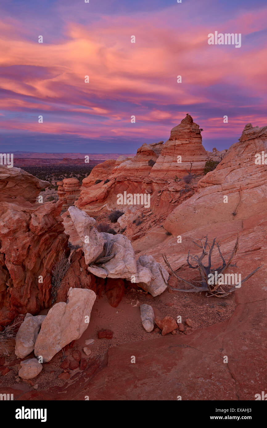 Orange Wolken bei Sonnenuntergang über Sandstein Zapfen, Coyote Buttes Wilderness, Vermilion Cliffs National Monument, Arizona, USA Stockfoto