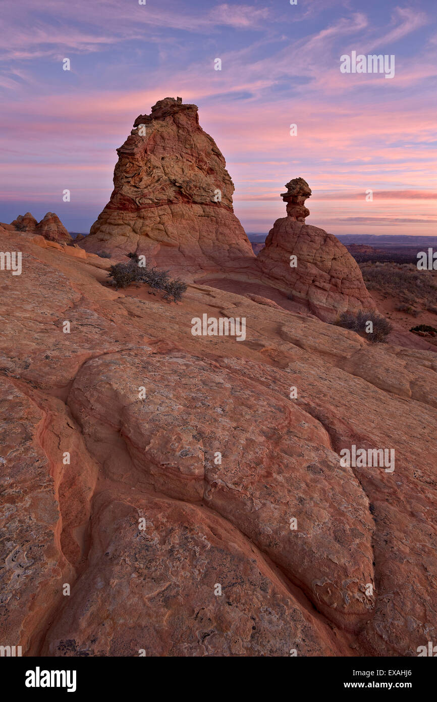 Sandstein-Formationen bei Sonnenaufgang, Coyote Buttes Wilderness, Vermilion Cliffs Nationaldenkmal, Arizona, Vereinigte Staaten von Amerika Stockfoto