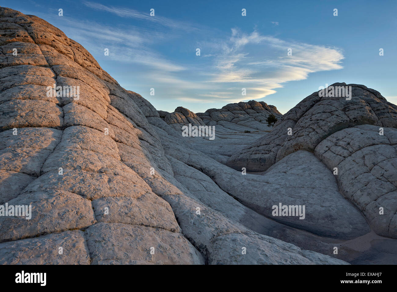 Wellen des Gehirns Rock, weiße Tasche, Vermilion Cliffs National Monument, Arizona, Vereinigte Staaten von Amerika, Nordamerika Stockfoto