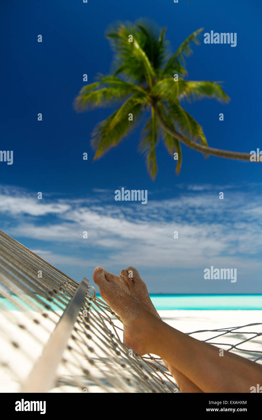 Hängematte und Palm Tree, Malediven, Indischer Ozean, Asien Stockfoto