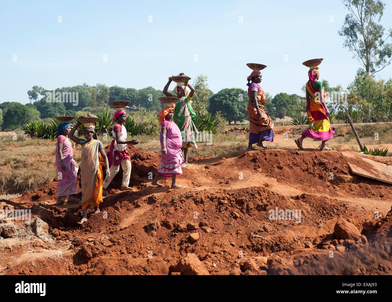 Frauen, Bauarbeiter, in bunten Saris mit Erde in Körben auf ihren Köpfen, Koraput Bezirk, Orissa, Indien Stockfoto