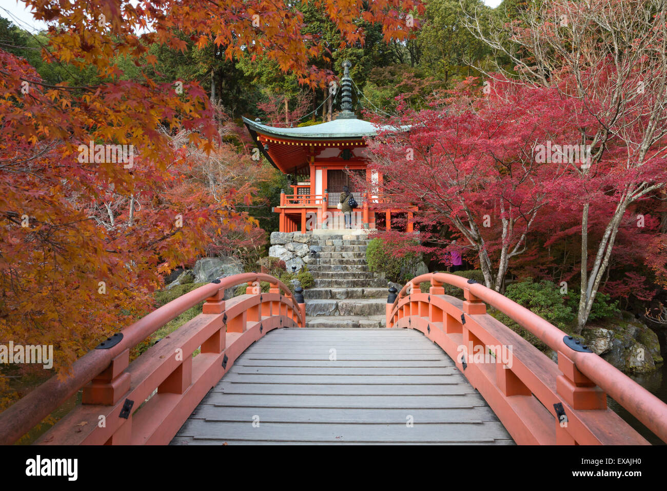 Japanische Tempelgarten im Herbst, Daigoji Tempel, Kyoto, Japan, Asien Stockfoto