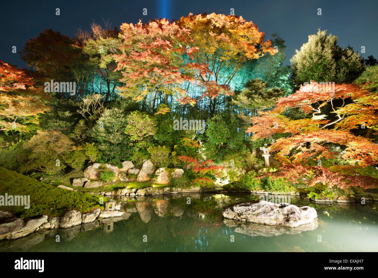 Nacht-Beleuchtung des Tempels Gärten, Shoren-in Tempel, südlichen Higashiyama, Kyoto, Japan, Asien Stockfoto