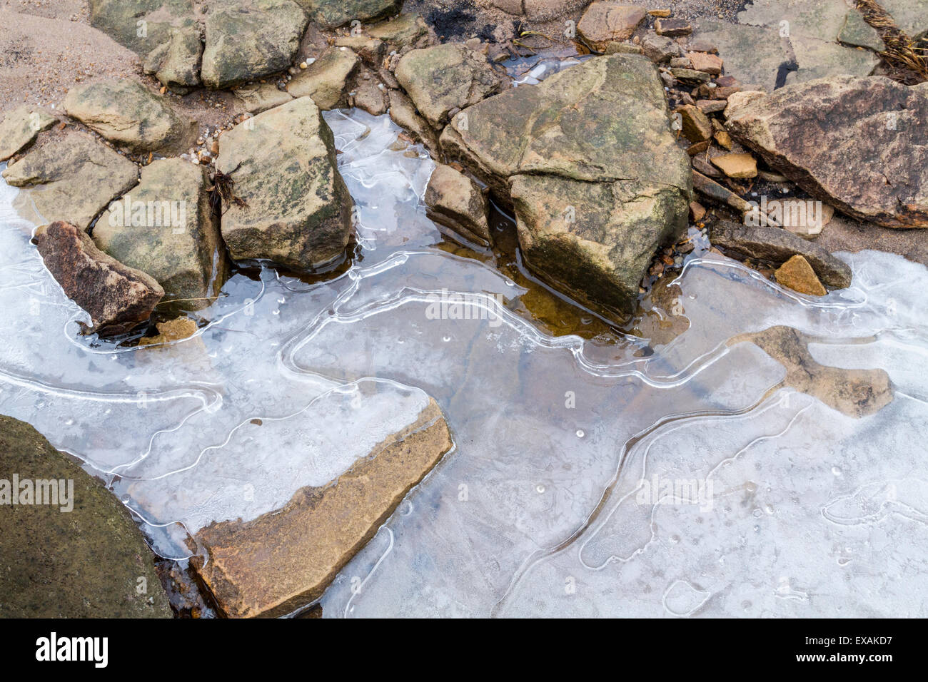 Nahaufnahme Detail rock Erosion. Erodiert gritstone mit kleinen Spalten und Steine in das Eis des zugefrorenen Bach Wasser. Kinder Scout, Derbyshire, UK Stockfoto