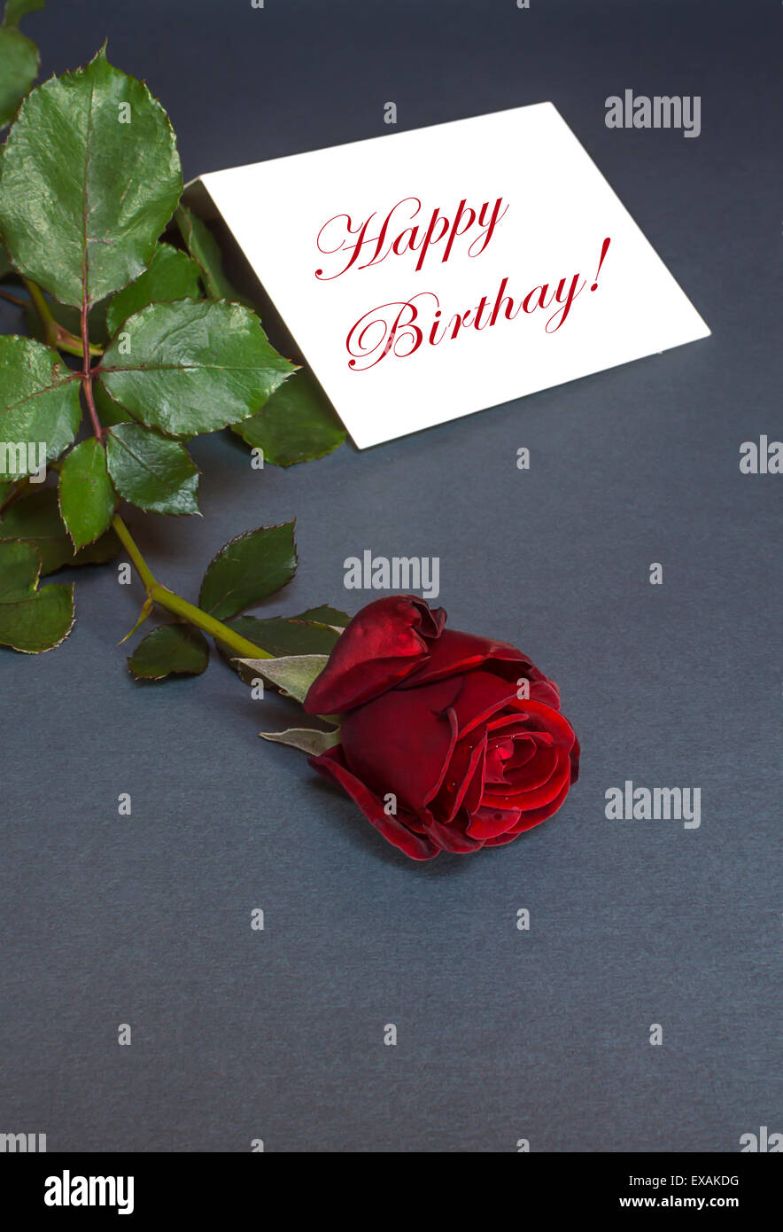 Geburtstagskarte mit roter Rose. Alles Gute zum Geburtstag Text