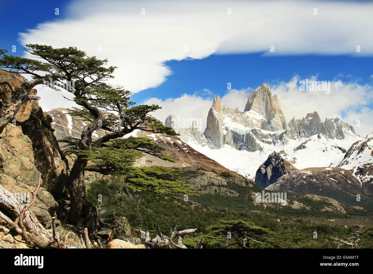 Wunderschöne Naturlandschaft mit Mt. Fitz Roy Stockfoto