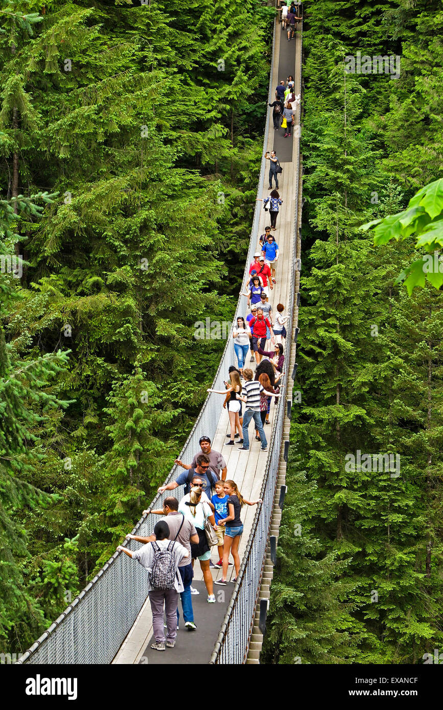 Hängebrücke, Capilano, Vancouver, Kanada Stockfoto