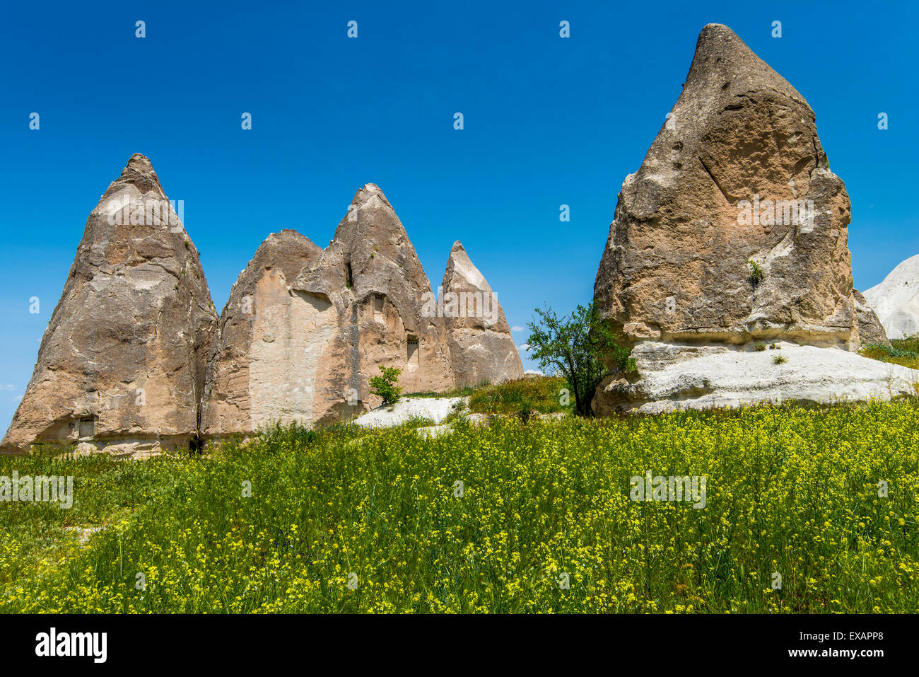 Malerische Landschaft im Frühling, Zemi Tal, Göreme, Kappadokien, Türkei Stockfoto