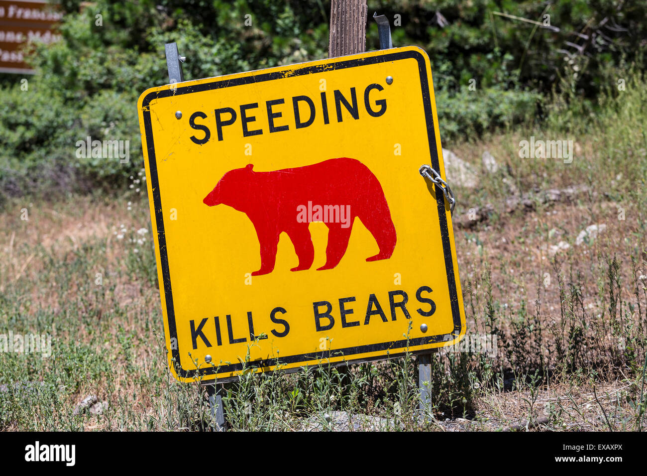 Geschwindigkeitsüberschreitungen tötet Bären Warnzeichen im kalifornischen Yosemite National Park. Stockfoto
