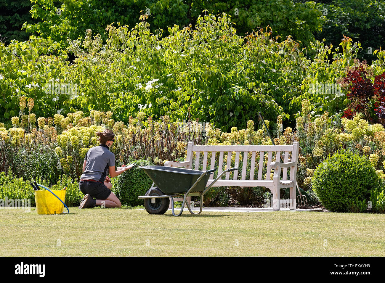 Gartenbau in Brookwood Soldatenfriedhof Frau Gärtner kniend