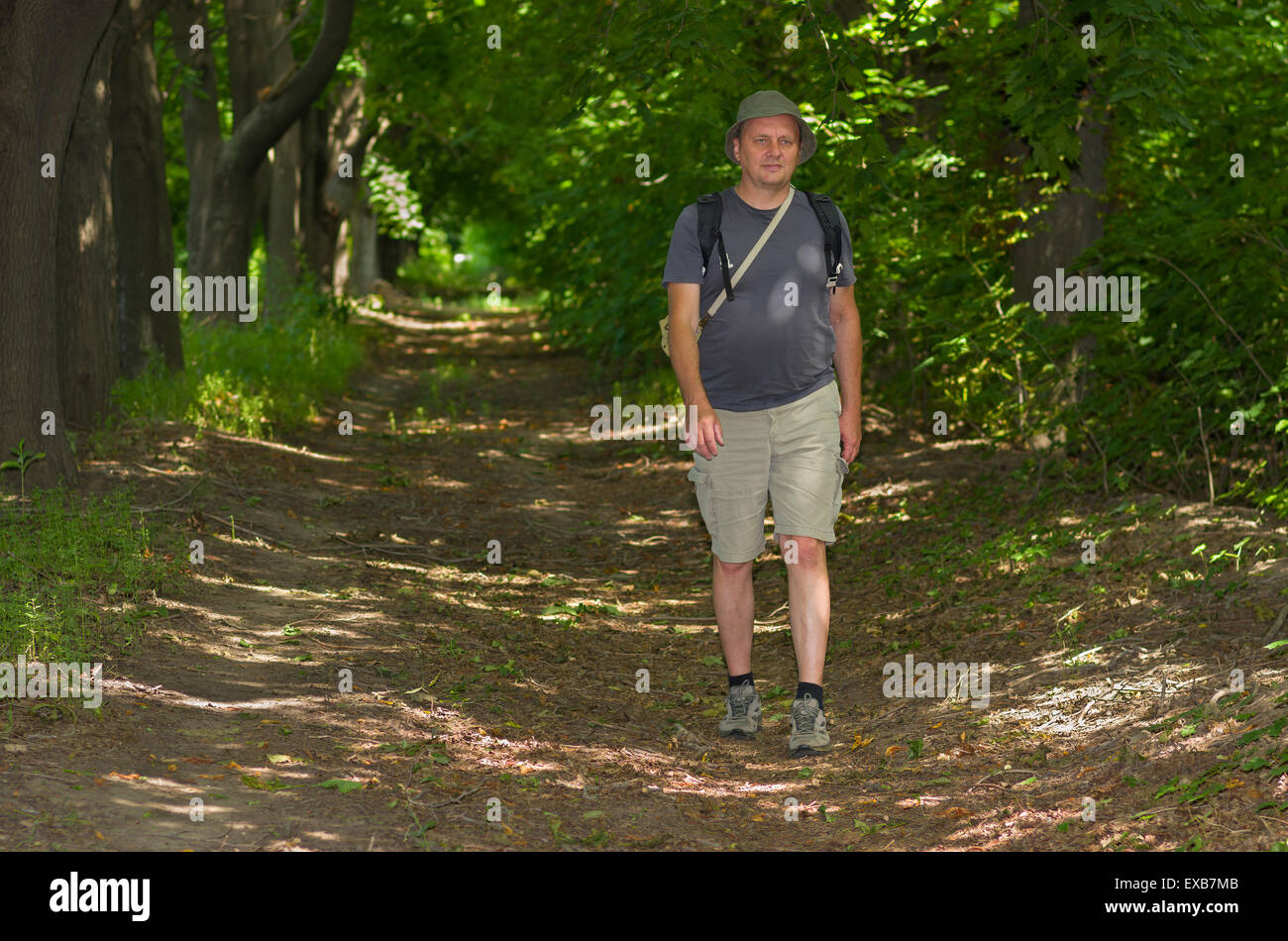 Reifer Mann Wanderungen im Sommer Wald Stockfoto