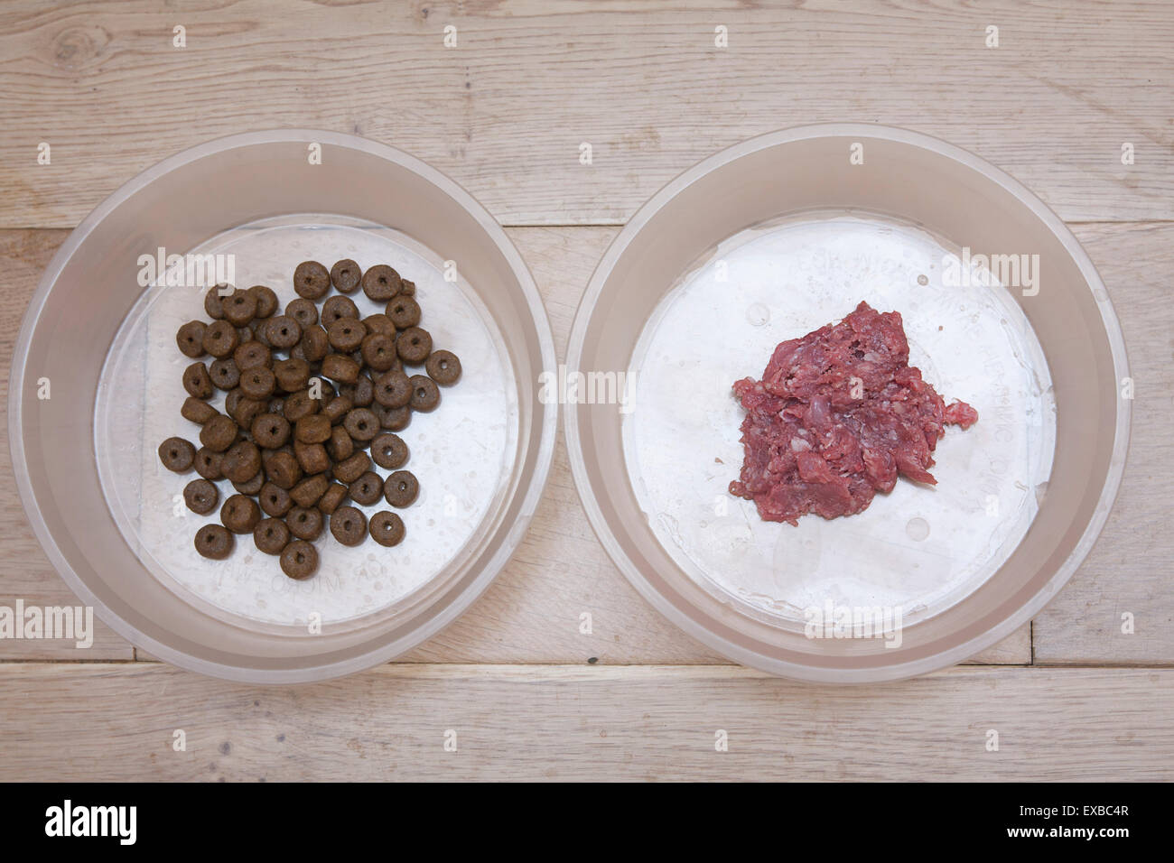 Schüssel mit rohem Kaninchen Katzenfutter und Trockenfutter Stockfoto