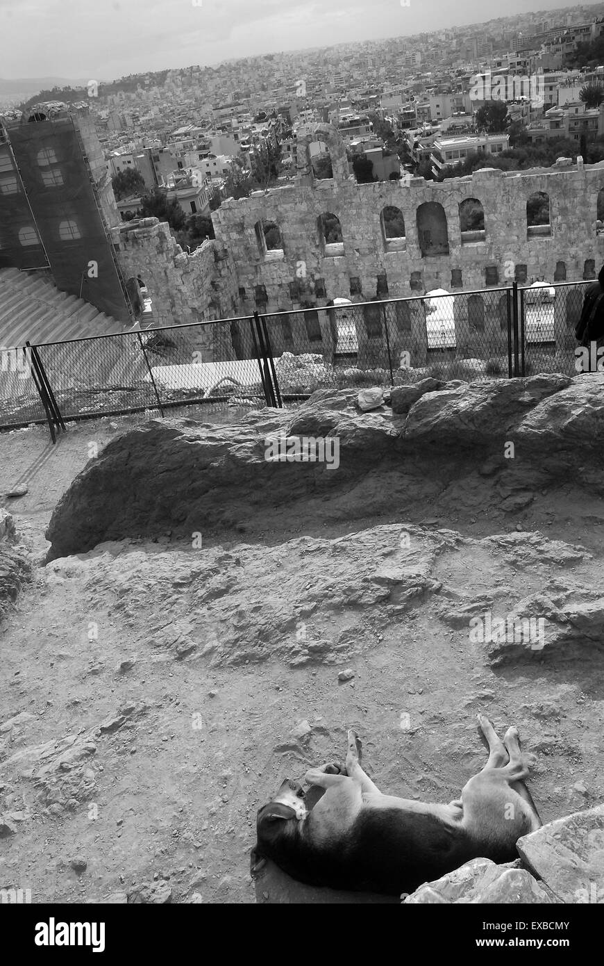 Schlafende streunenden Hund auf der Akropolis, Athen, Griechenland Stockfoto