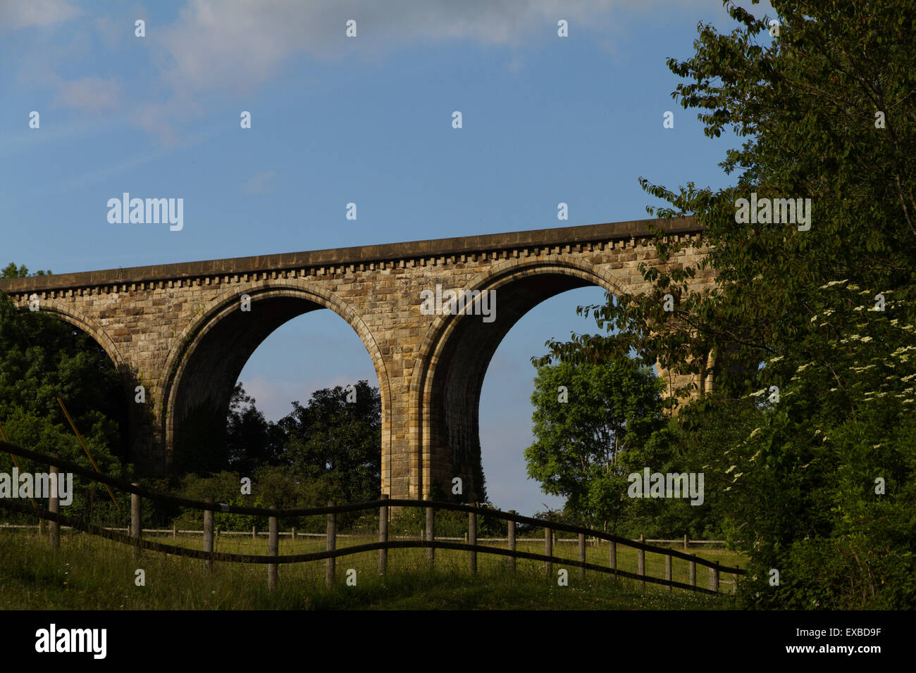 Die cefn Eisenbahnviadukt bei Ty Mawr Country Park, Wrexham, North Wales Stockfoto