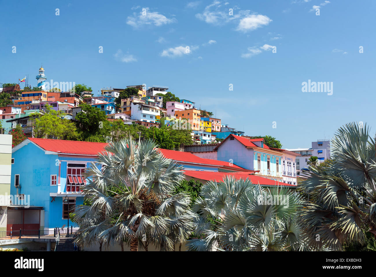 Blick auf Santa Ana Hill mit Palmen im Vordergrund in Guayaquil, Ecuador Stockfoto