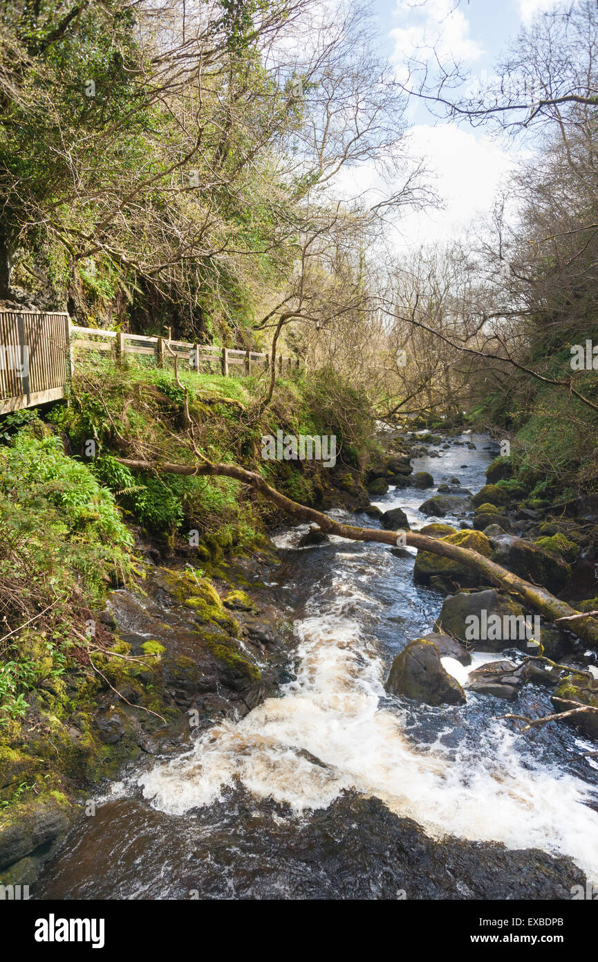 Ein kleiner Wasserfall in der irischen Natur, Wicklow mountains Stockfoto