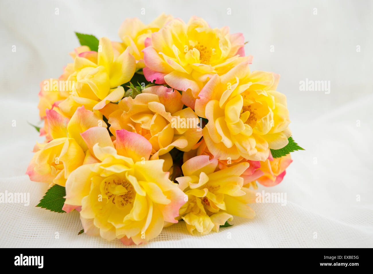 Bouquet von gelben Rosen auf einem weißen seidenen Stockfoto