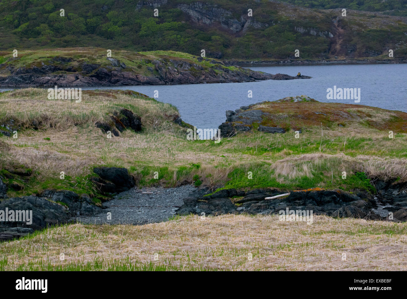 Küstenlinie in Neufundland. Stockfoto