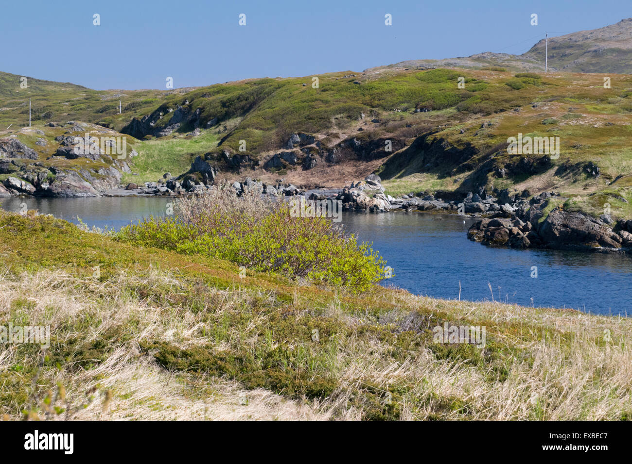 Ein Blick entlang der Küste im nördlichen Neufundland. Stockfoto